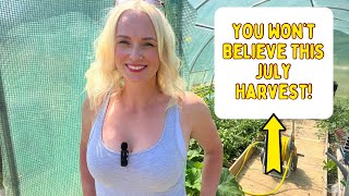 A Peek at My July Harvest: Allotment Life in Full Swing