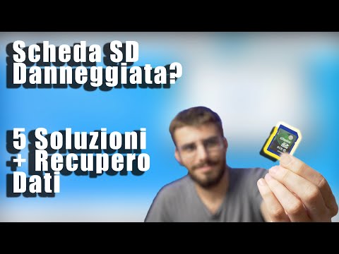 Scheda di memoria