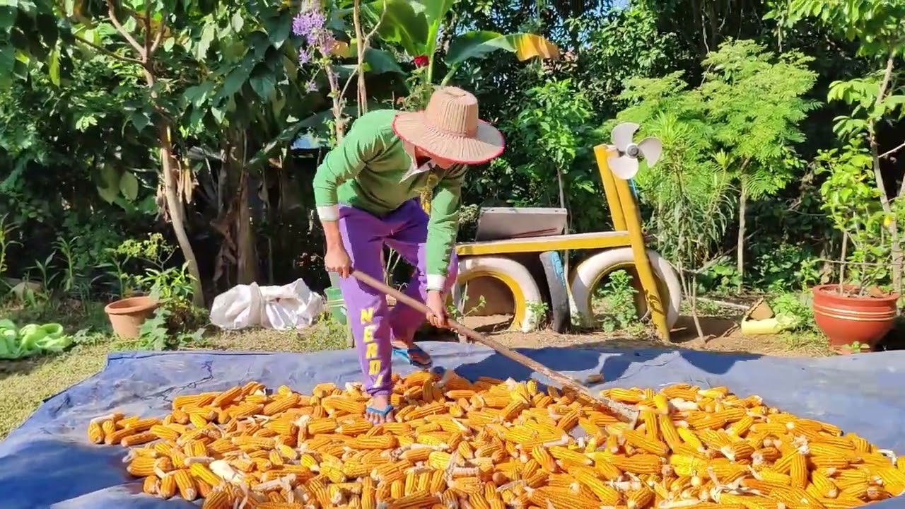 Fantastic feeling with chicks at clean home