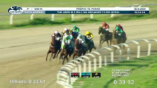 Vidéo de la course PMU PRIX PREMIO TE PARAE