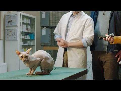 Making of OHRA Huisdierenverzekering reclame 'Hond vs Kat'