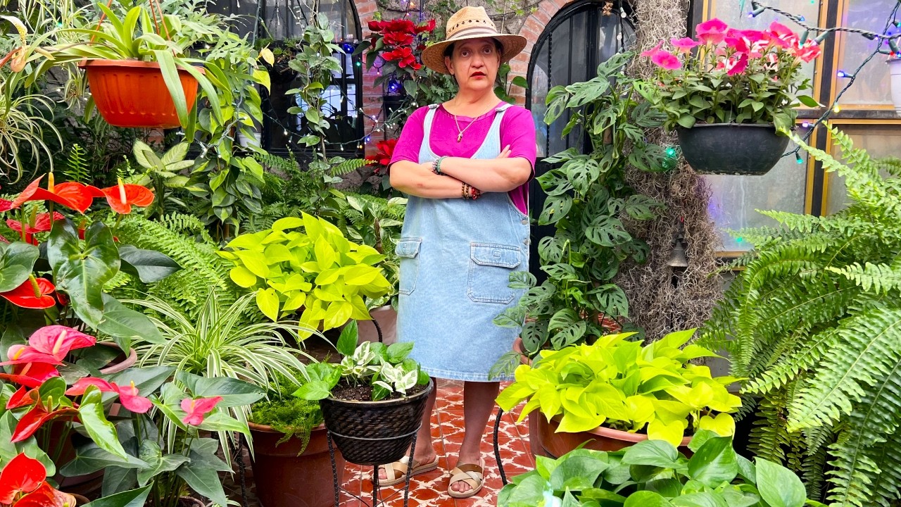 ¿Qué le pasa a esta Planta?