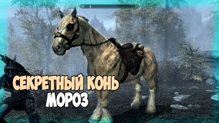 Skyrim СЕКРЕТНЫЙ КОНЬ ПО КЛИЧКЕ МОРОЗ ОЧЕНЬ РЕДКИЙ