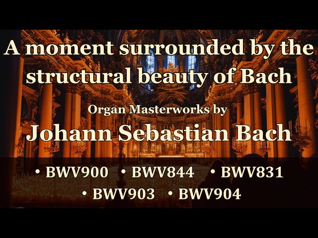 バッハの鍵盤音楽』（小学館）です！ バッハの鍵盤音楽