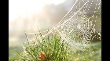 [Webinar] Apply Cognitive Task Analysis for better training