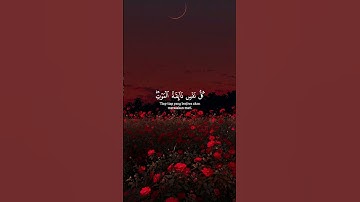 أكتب شيء تؤجر عليه♥️🥀  #shortvideo #اكسبلور #tiktok #ستوريا #ستوريات #راحة_نفسية #قرآن #تلاوة_خاشعة