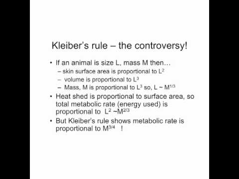 Mathematics meets Biology: Part 3 of 5