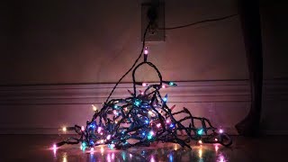 Park District Recycles Holiday Lights