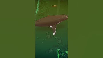Humpback Whale Addition to The Fish Game By The Fish Man #godot #blender #gamedev #indiedev