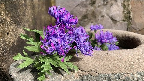 ABC TV | How To Make Paper Flower From Crepe Paper #8 - Craft Tutorial