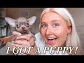 PICKING UP MY PUPPY VLOG