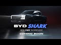 Byd shark