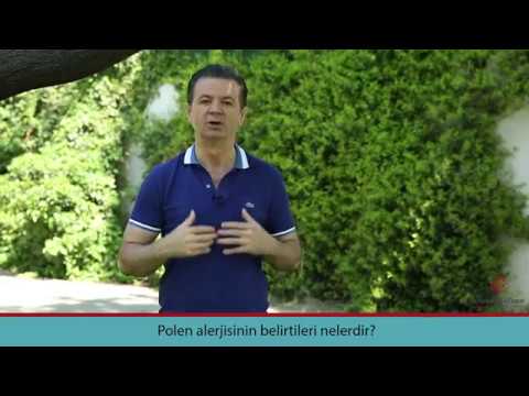 Polen Alerjisi Belirtileri