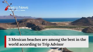 3 Mexican beaches are among the best in the world according to Trip Advisor