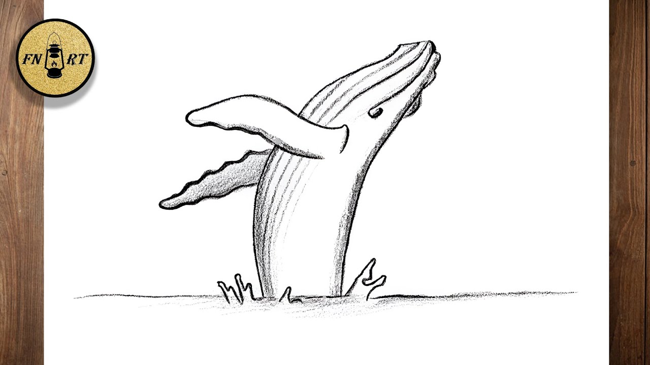 How To Draw A Humpback Whale Jumping Out Of The Water