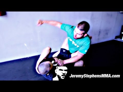 Technique by Jeremy Stephens: Ground & Pound