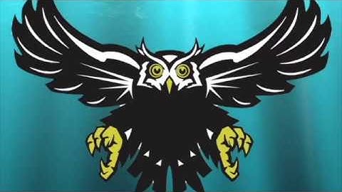 Students:  Intro Guide to Using Zoom videoconference