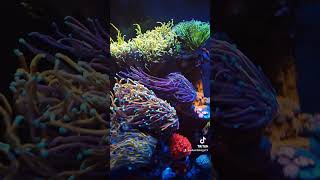 Is This Tiny Block The Biggest Filter Upgrade You Need?