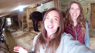 Daily Horse Feeding Routine // The Girls are Taking Care of the Farm