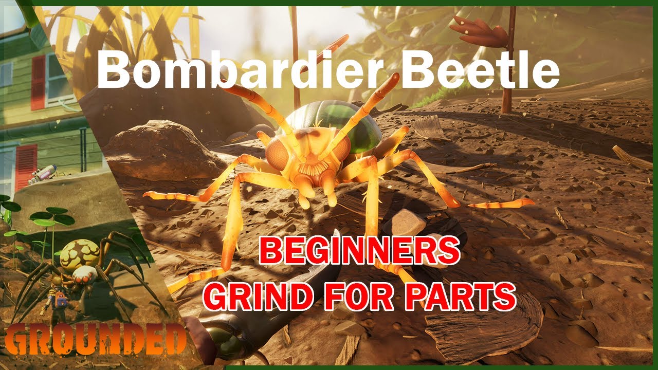 Easy Bombardier Beetle Parts Beginners Grounded 1.0 YouTube