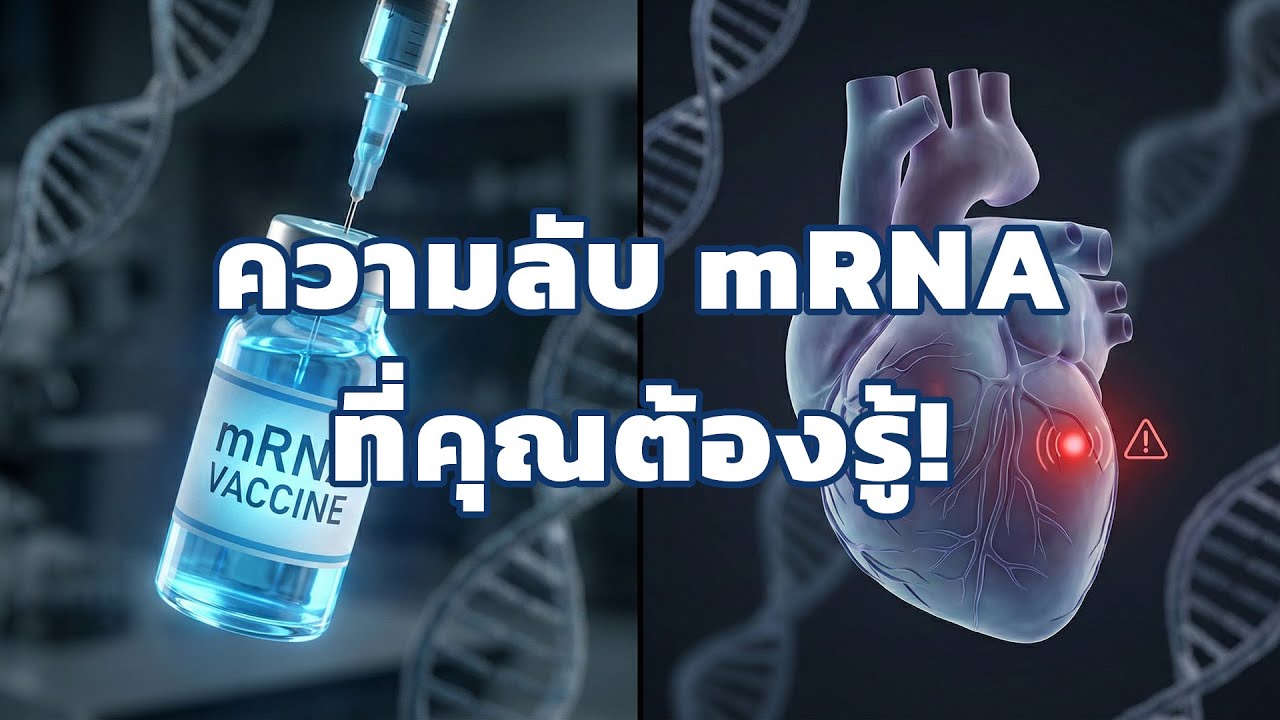 ไขปริศนา! ทำไมวัคซีน mRNA ทำให้หัวใจอักเสบ? เจาะลึกงานวิจัย Stanford และทางแก้ที่คุณคาดไม่ถึง