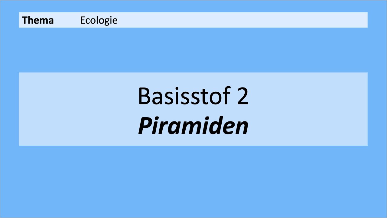VMBO 3 | Ecologie | Basisstof 2. Piramiden | 8e editie