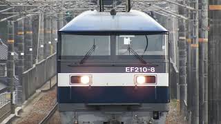 JR山陽本線　貨物列車　EF210ー8