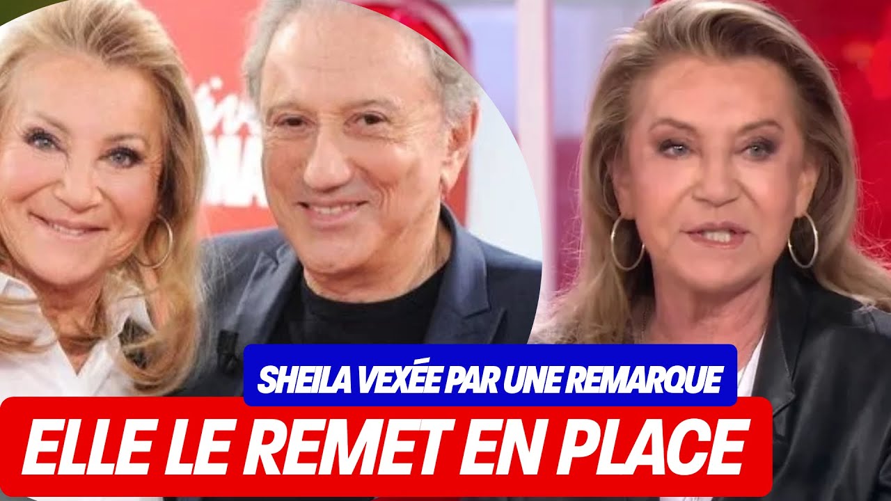 Je ne vois pas le rapport” : Sheila rembarre Michel Drucker dans Vivement  Dimanche - YouTube