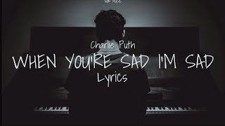 Charlie Puth - When You're Sad I'm Sad (Lyrics)