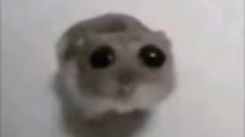 memes i have saved on my camera roll | Part 15 #memes