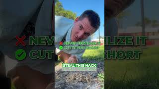 3 Hacks to Killing Your Grass Faster