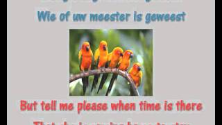 Karaoke Andy Tielman - Little Bird (Klein vogelijn) (Paak) chords