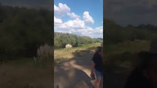 SALDUNGARAY BUENOS AIRES ARGENTINA RECORRIDO A PIE - WALKING TOUR