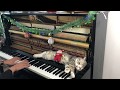 Jingle Bell Rock - Piano massage for meow