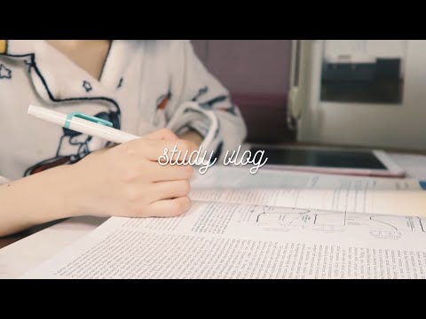 (ENG) 공부 브이로그 : 피곤한 <strong>수의사의</strong> 72시간 기록