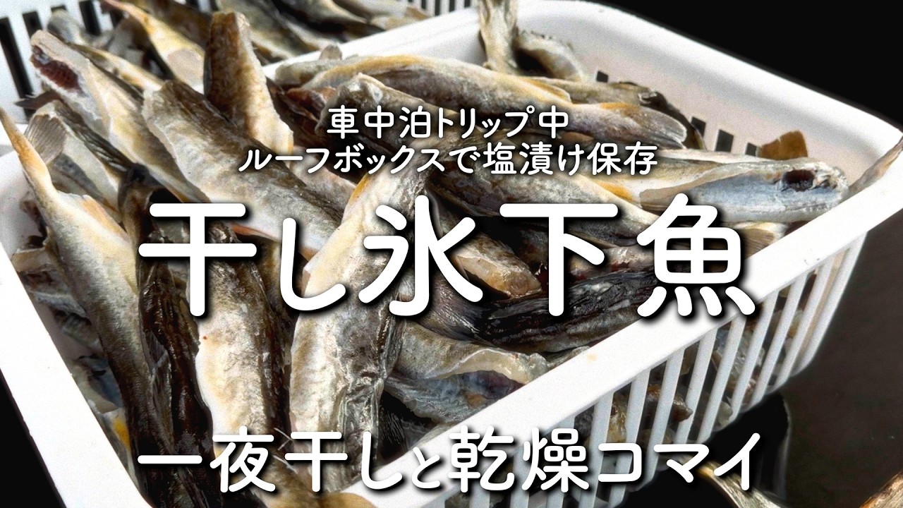 【コマイ山漬け？】大量に釣ったコマイを一夜干しと乾燥コマイにしてみた