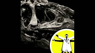 A 21st century guide to hunting dinosaur fossils