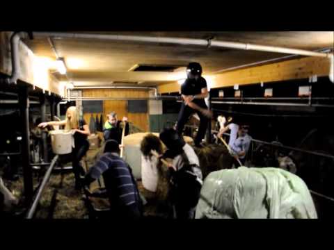 Harlem Shake (SWISS Farmer Edition!)