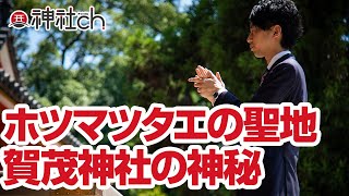 ホツマツタエの聖地「賀茂神社」の神秘