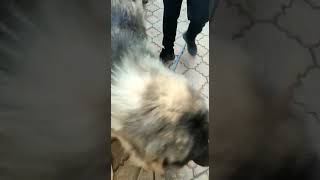 VID 20230225 WA0003