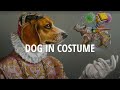 How to Paint a DOG in a costume