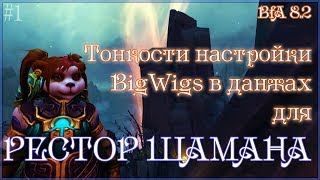#1 Тонкости настройки BigWigs в данжах для рестор шамана