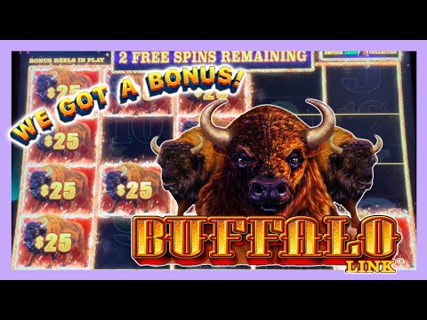 We got a Bonus on a $25 spin - High limit Buffalo Link and Buffalo Gold Slot Play at the Casino 🎰