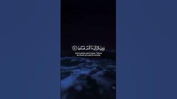 يوم لا ينفع مال ولا بنون 🥺💙 #تلاوة_خاشعة #ياسر_الدوسري #قرآن #quran #ليكات