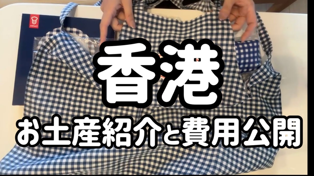 【LCC】日帰り香港のまとめ【滞在19時間】