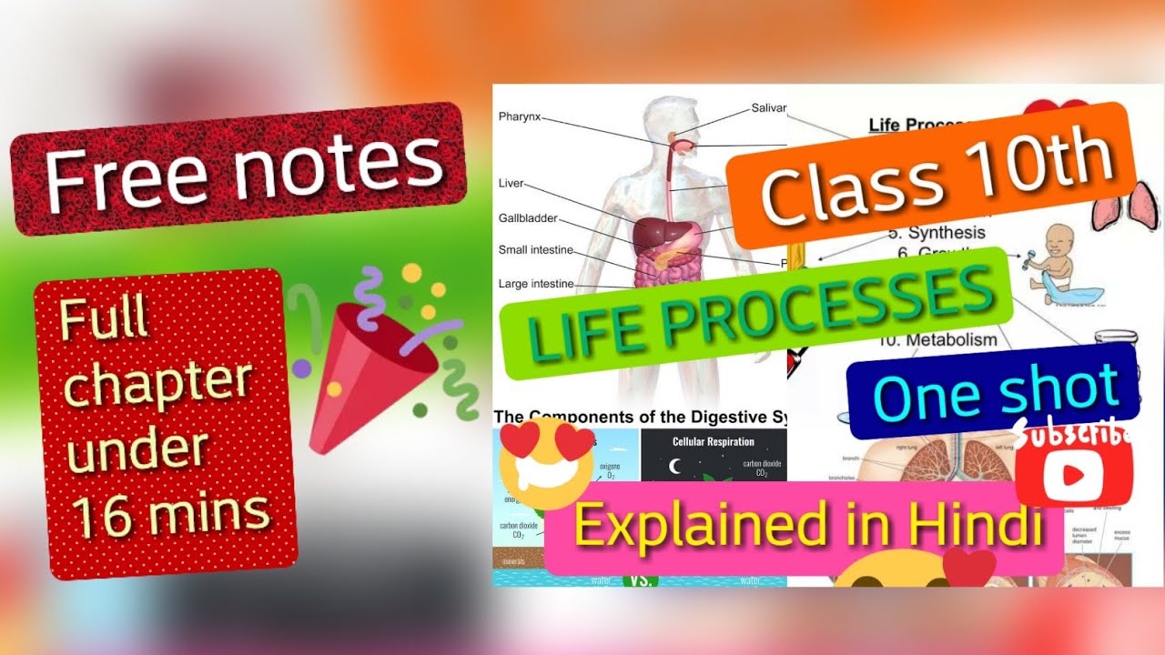 ch Life processes class 10th part 1 - YouTube
