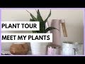 Meet My Plants  |  Plant Tour!