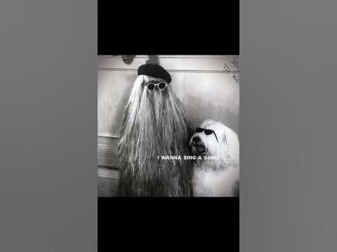КАСПЛЕЙ: "КУЗЕН ИТТ" #memes #мемы #рекомендации #family #adams - YouTube