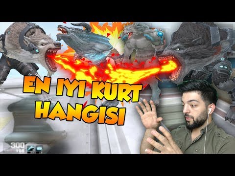 WOLFTEAM IN EN GÜÇLÜ KURDU HANGİSİ-ÇOK ŞAŞIRACAKSINIZ !!