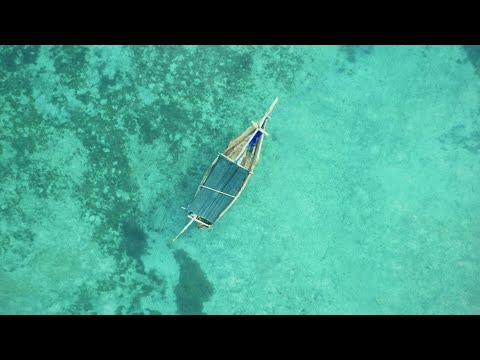 marisol - Mango